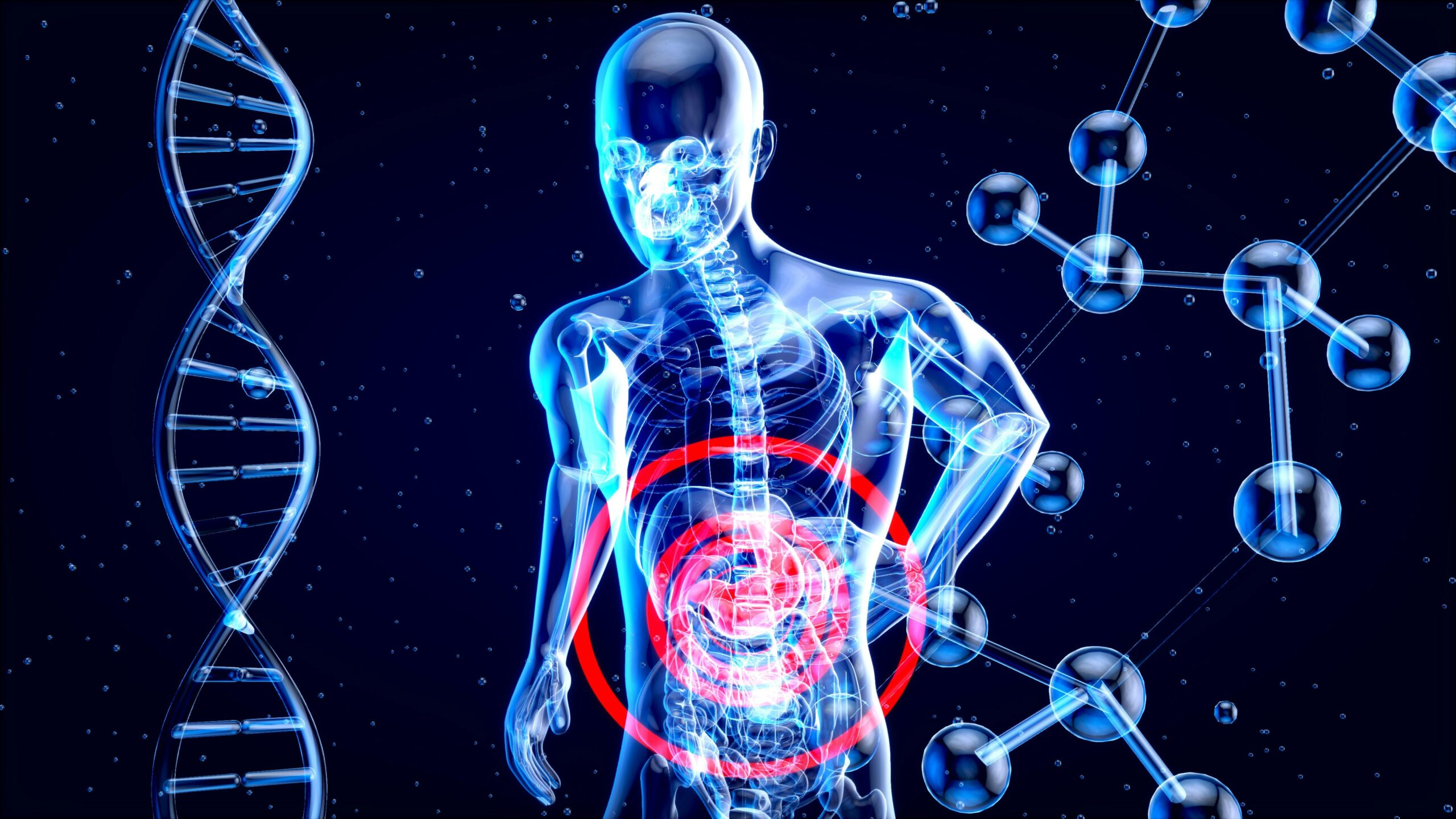 L-Glutamina: A Chave Mestra para o Intestino Blindado e Imunidade de Aço